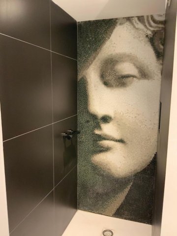 Pose de mosaïque dans une douche à Lyon